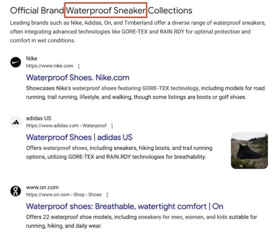صفحه نتایج جستجوی گوگل برای «کفش ضدآب»، نشان‌دهنده نتایج برندهای Nike، Adidas و On است. هر نتیجه شامل عنوانی درباره کفش‌های ضدآب و توصیف کوتاهی از موادی چون GORE‑TEX و RAIN.RDY می‌باشد. یک تصویر محصول در کنار فهرست Adidas قرار دارد.
