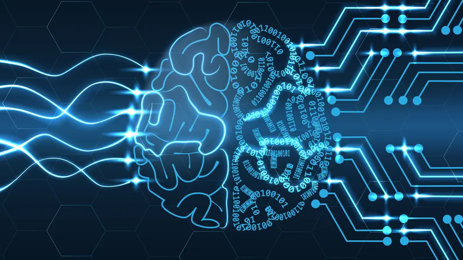 نمایش گرافیکی از مغز سایبرنتیک